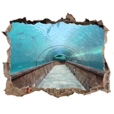 Fototapeta díra na zeď 3D Tunel akvárium