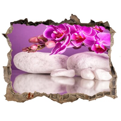 Samolepící díra nálepka Orchidej na pozadí kamenů