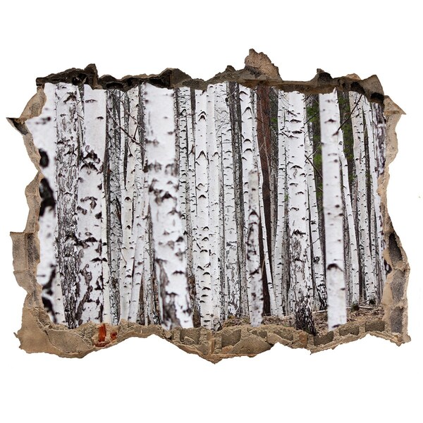 Samolepící díra nálepka beton Lesní oáza bílých bříz