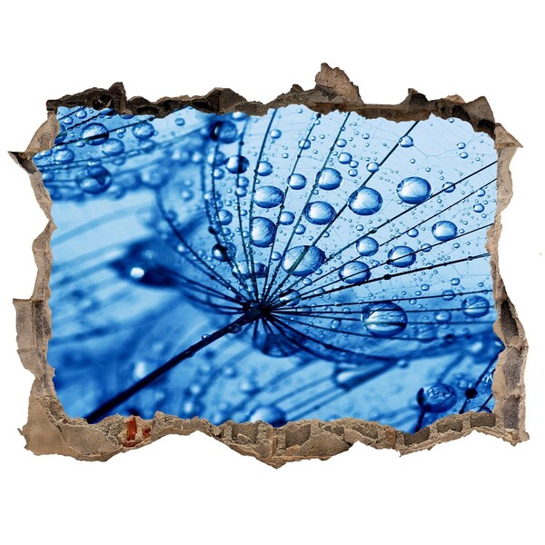 Samolepící díra nálepka Kapky vody na jemném květu