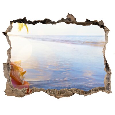 Nálepka fototapeta 3D výhled Mušle na pláži
