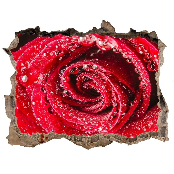 Samolepící díra Růže s kapkami vody