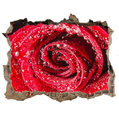 Samolepící díra Růže s kapkami vody