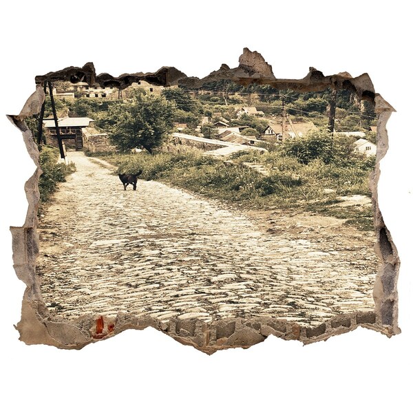 Díra 3D fototapeta nálepka Okouzlující venkovská cesta