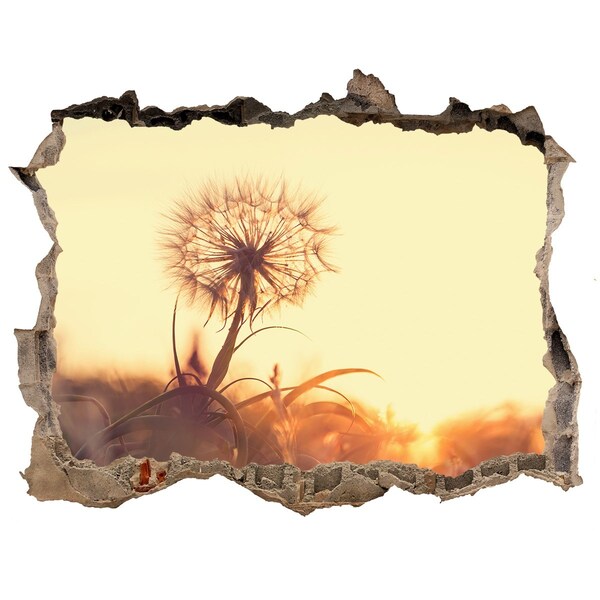 Samolepící díra na stěnu Květina v paprscích slunce