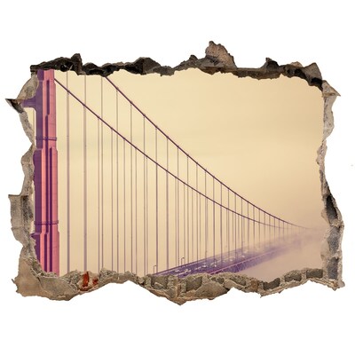 Fototapeta díra na zeď 3D Most Golden Gate v oblacích