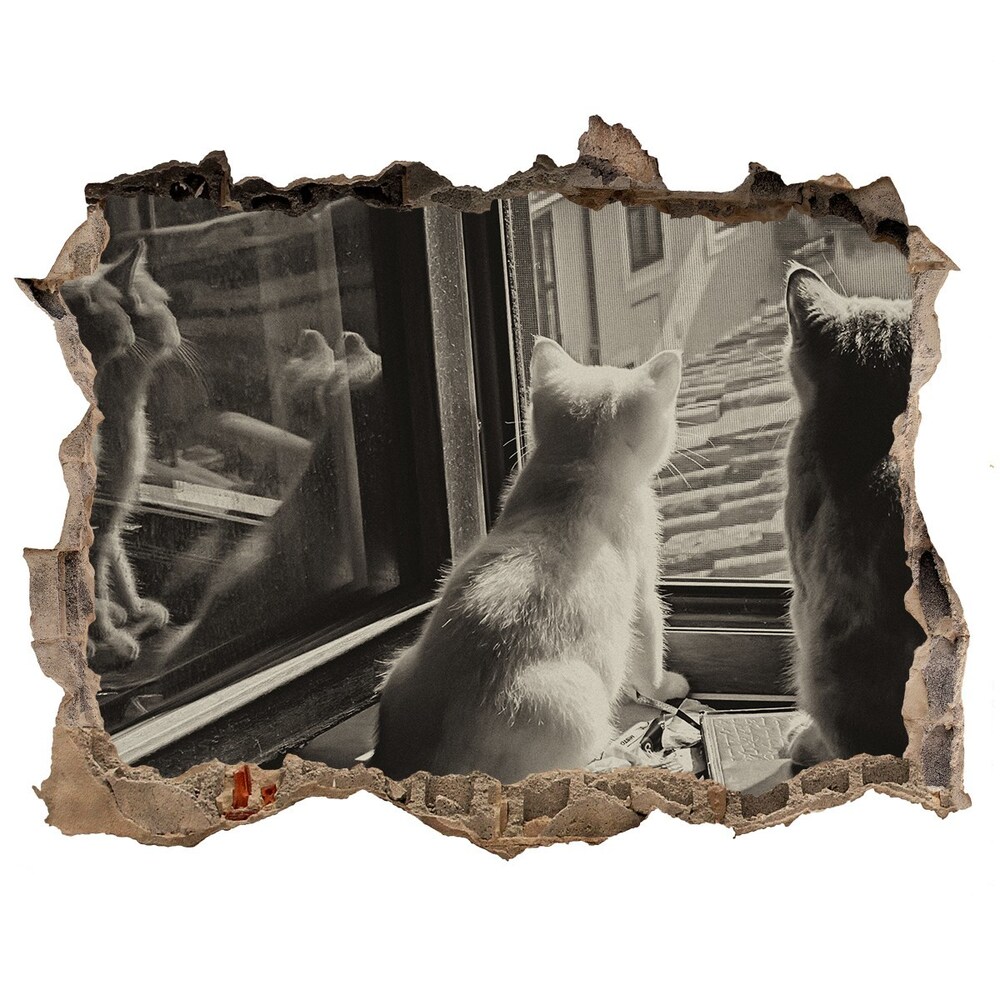 Díra 3D fototapeta nálepka Kočky u okna