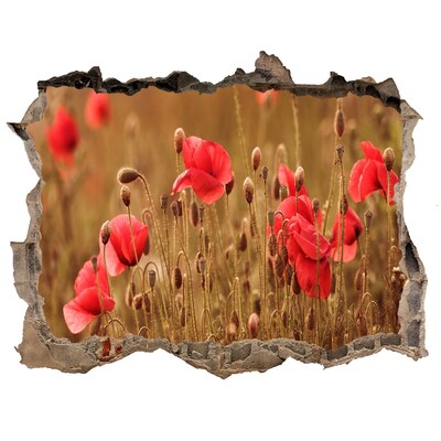 Samolepící díra na stěnu Květiny mezi zničenou zdí