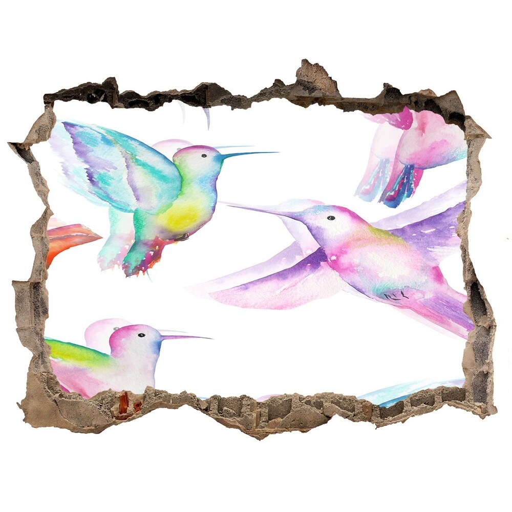 Díra 3D foto tapeta nálepka Kolibříky