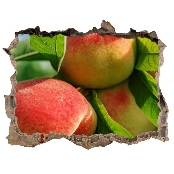 Samolepící nálepka beton Jablečný sad