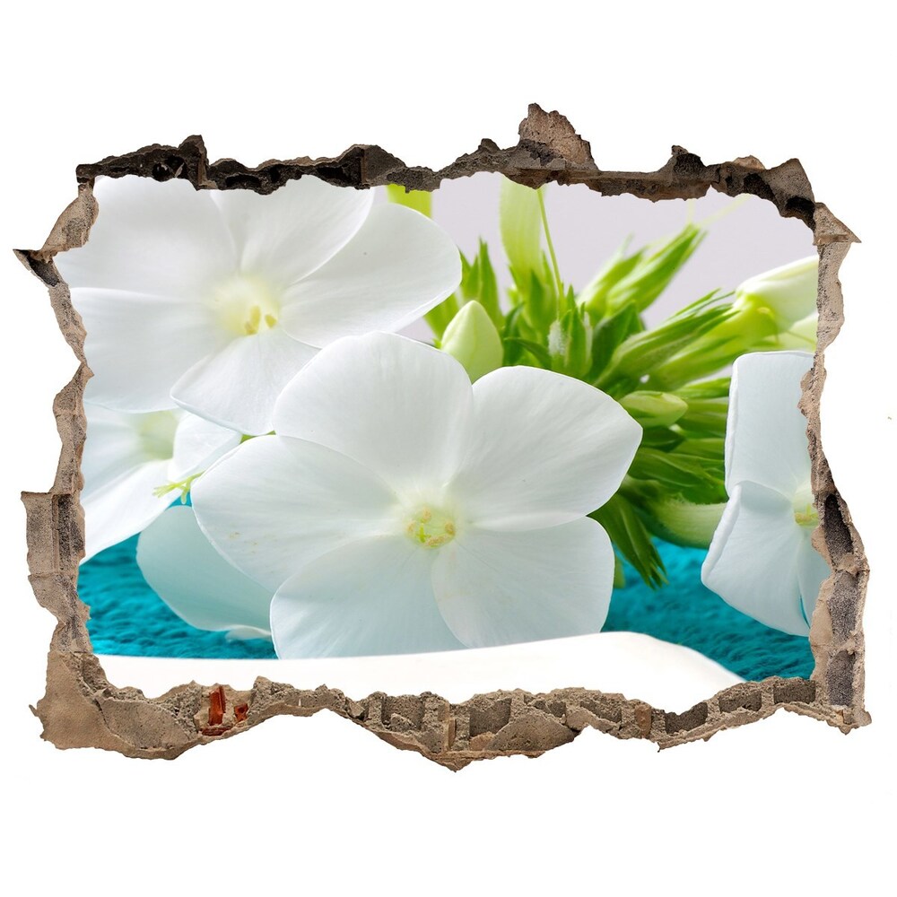 Fototapeta díra na zeď Bílé květiny spa