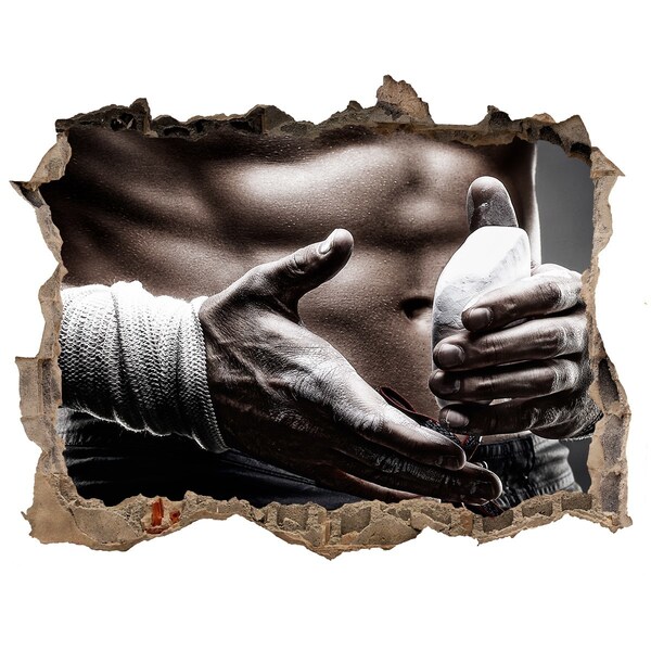 Foto fotografie díra na zeď Šampion bojových umění