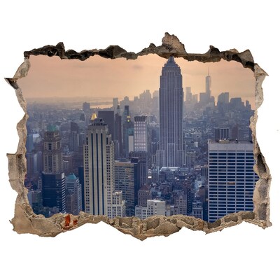 Fototapeta díra na zeď 3D Pohled na New York