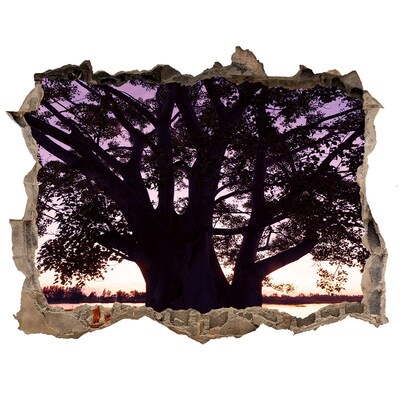 Samolepící díra na stěnu Západ slunce za stromem