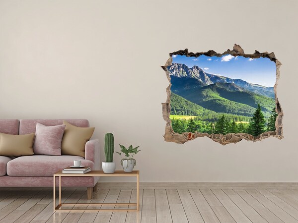 Nálepka fototapeta na zeď Skokanský můstek Tatry