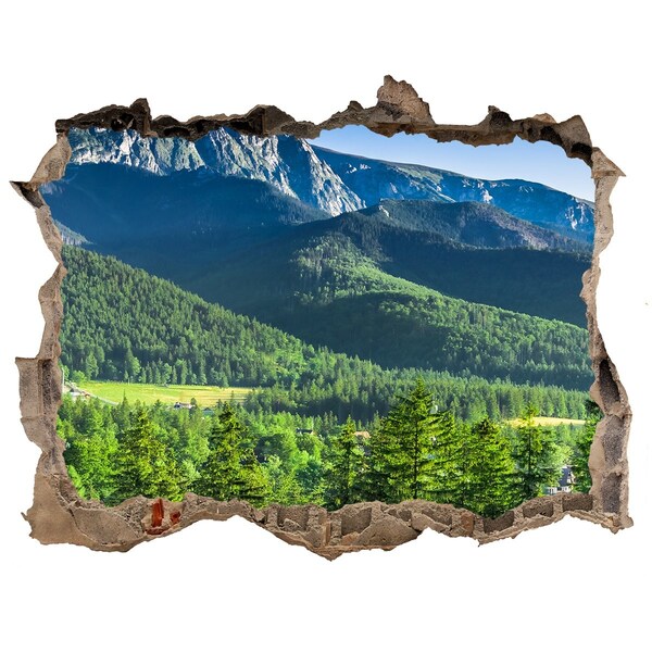 Nálepka fototapeta 3D Skokanský můstek Tatry