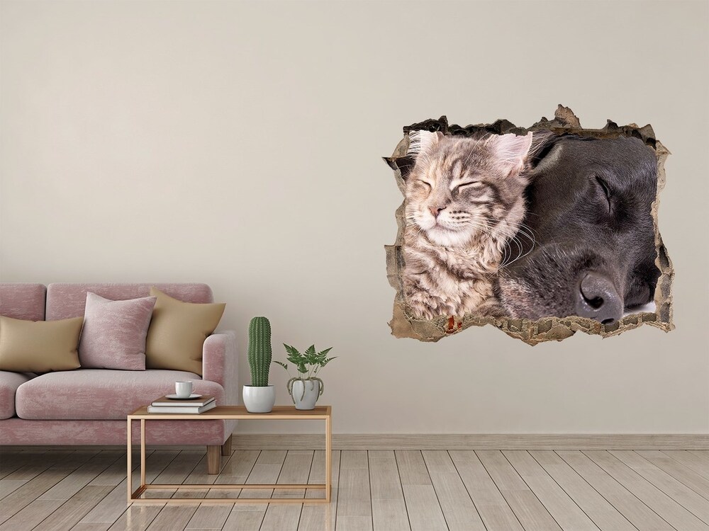 Díra 3D foto tapeta nálepka Pes s kočkou