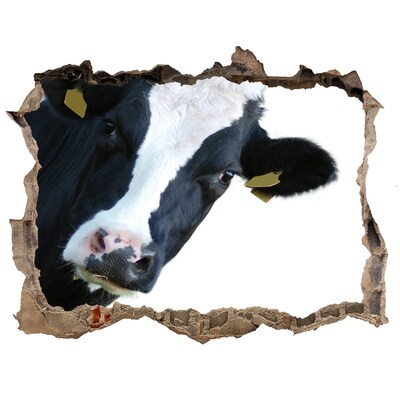 Nálepka fototapeta 3D výhled Kráva