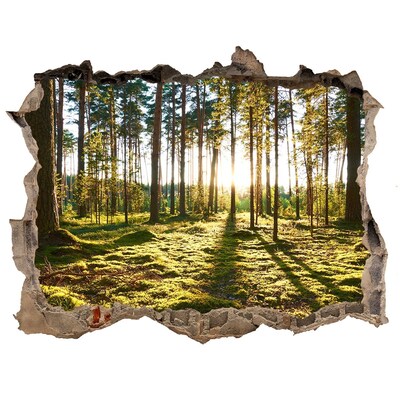 Nálepka fototapeta 3D na zeď Sosnový les