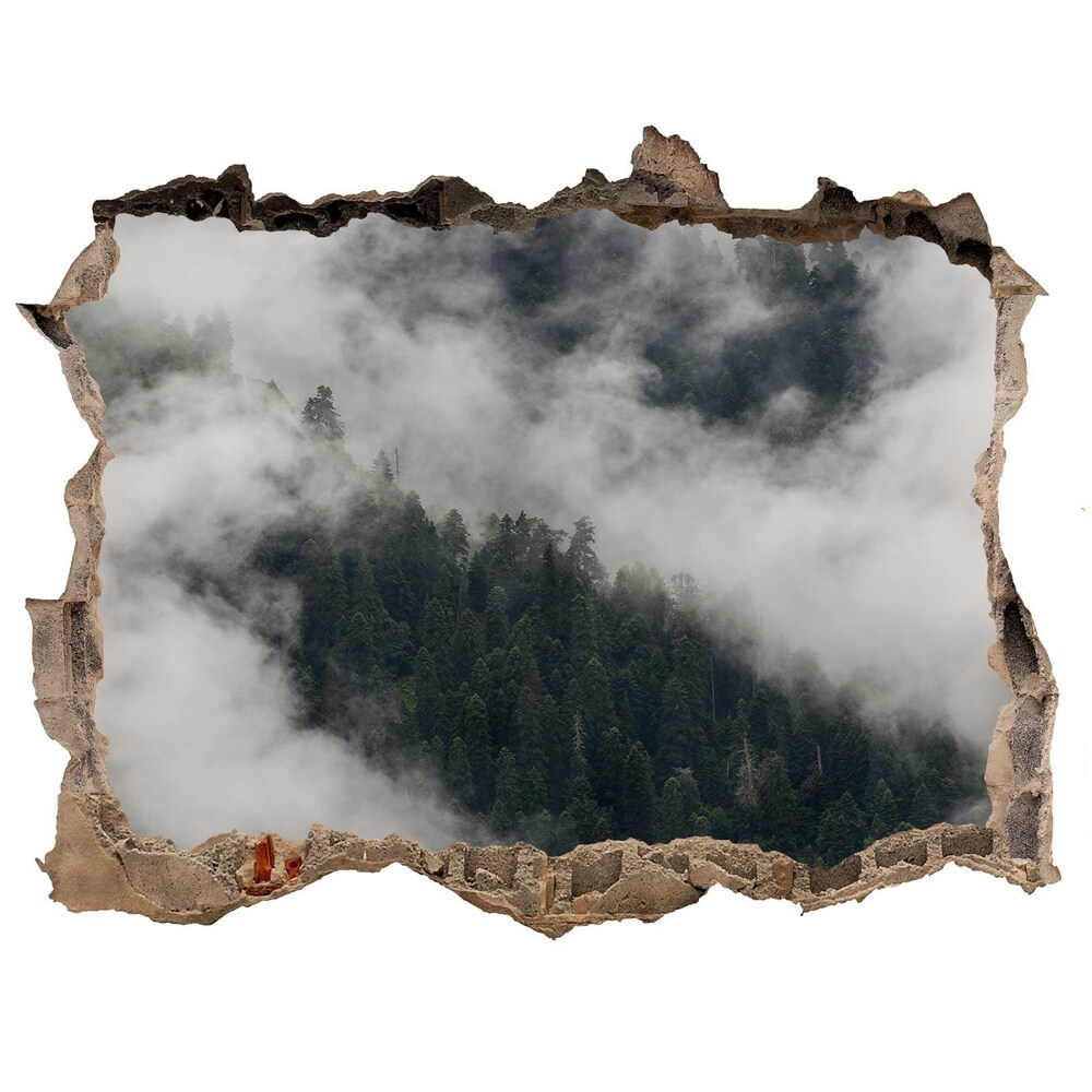 Samolepící nálepka beton Mlha nad lesem