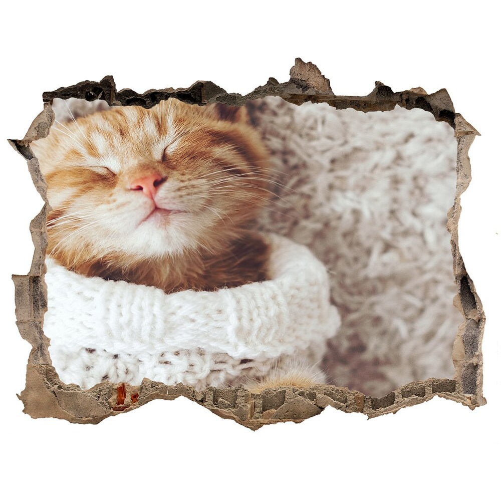 Samolepící nálepka beton Kočka ve svetru