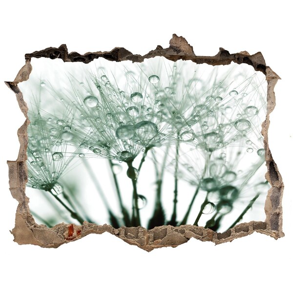 Fotoobraz díra na stěnu Květinový sen za zdí