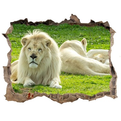 Samolepící díra nálepka Béžoví lvi