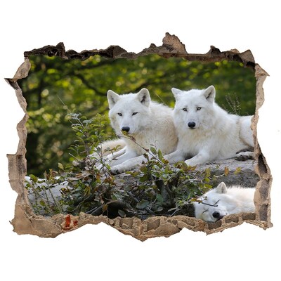 Fototapeta díra na zeď Bílí vlci skála