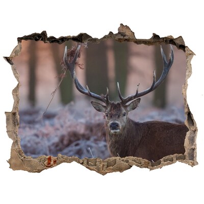 Díra 3D foto tapeta nálepka Jelen v lese