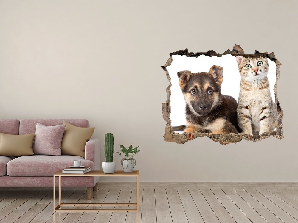 Fototapeta díra na zeď 3D Pes a kočka