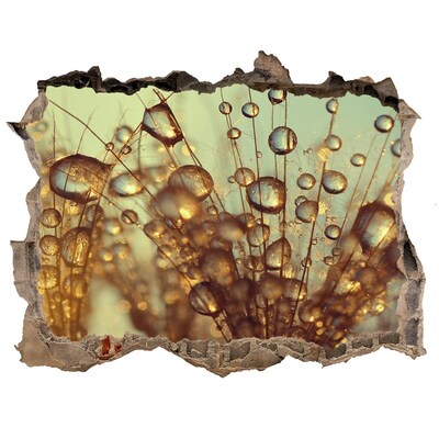 Samolepící díra na stěnu Kapky na jemné vlasy