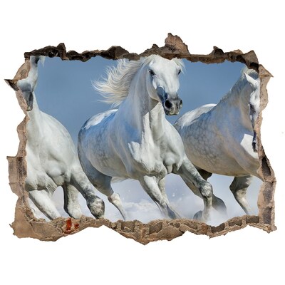 Fototapeta díra na zeď Koně ve cvalu
