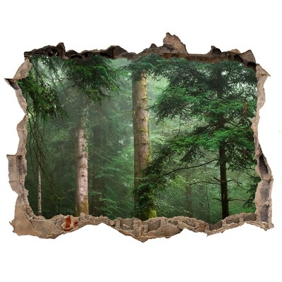 Díra 3D foto tapeta nálepka Mlha v lese