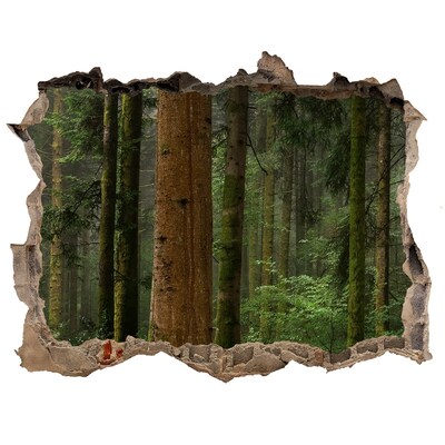 Fototapeta díra na zeď Zelený les v díře ve zdi