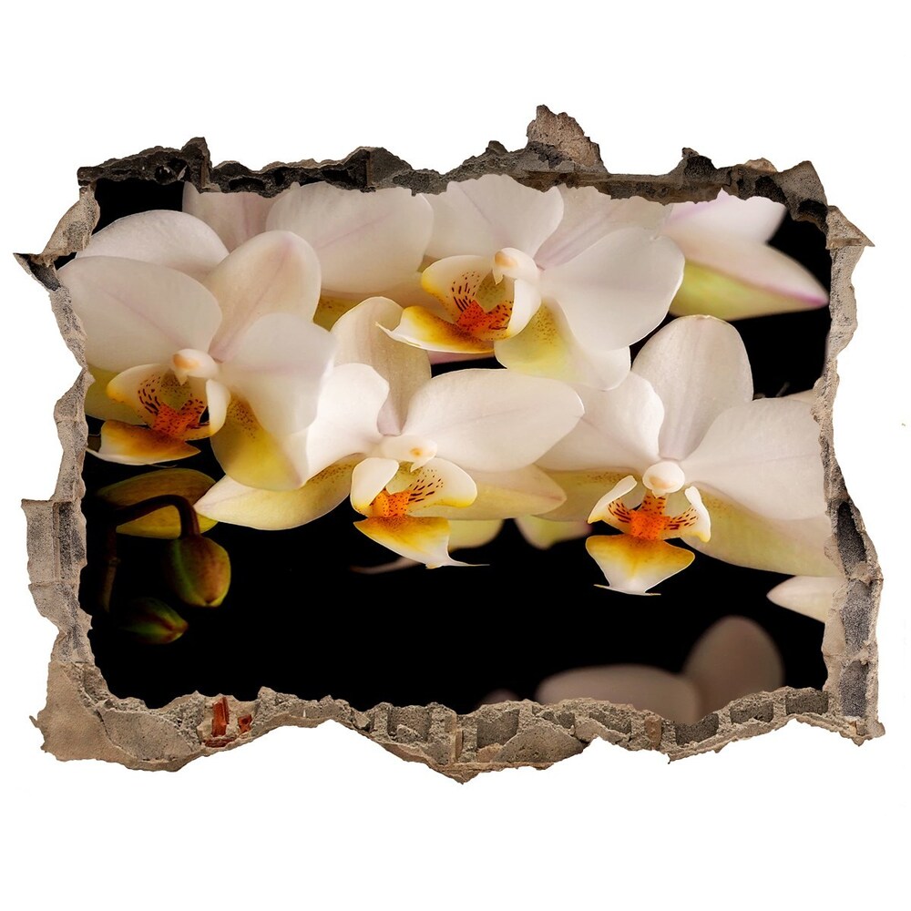 Nálepka fototapeta 3D výhled Orchidej