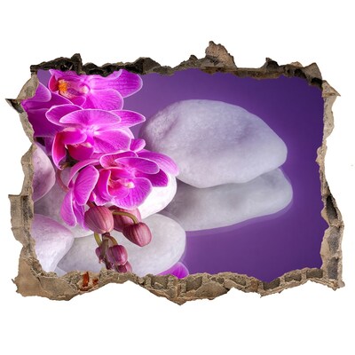 Fotoobraz díra na stěnu Orchideje na pozadí kamenů