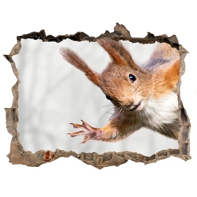 Nálepka fototapeta 3D na zeď Veverka v akci