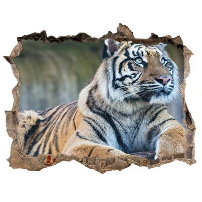 Nálepka 3D díra na zeď Tygr