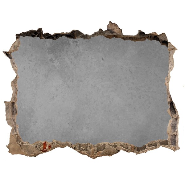 Díra 3D fototapeta nálepka Popraskaná zeď s výhledem na beton