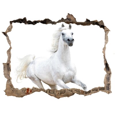Fototapeta díra na zeď Bílý arabský kůň