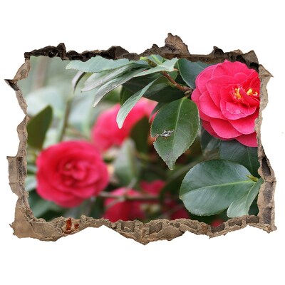 Samolepící díra na stěnu Květinová zahrada z betonu