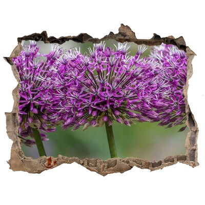 Samolepící díra na stěnu Květiny v květu