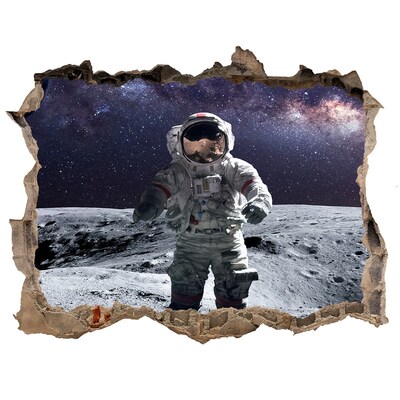 Fototapeta díra na zeď Astronaut