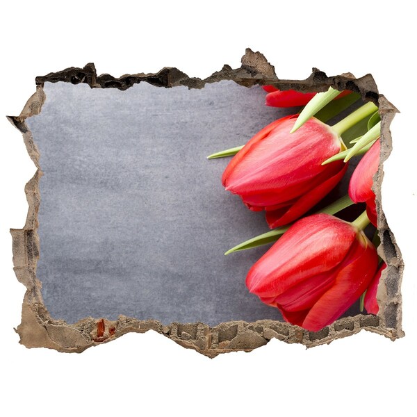 Samolepící díra na stěnu Červené tulipány