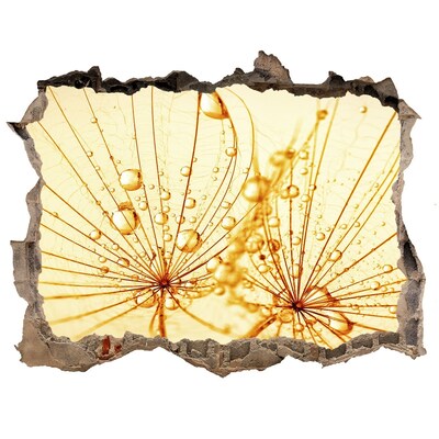 Díra 3D fototapeta nálepka Zlaté květiny v betonu