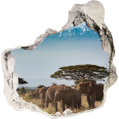 Díra 3D fototapeta Africká savana se slony