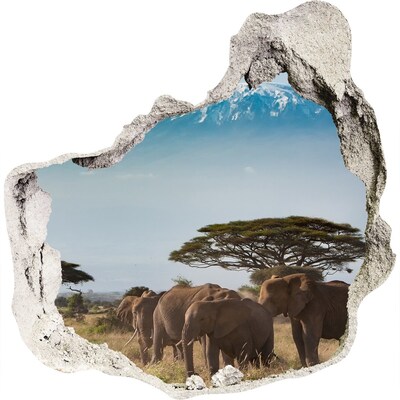 Díra 3D fototapeta Sloni Kilimandžáro
