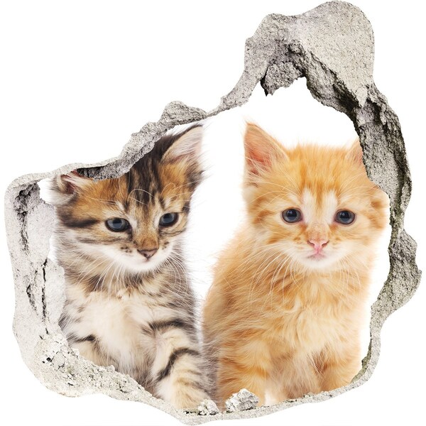 Díra 3D fototapeta na stěnu Kočičí kamarádi za dírou