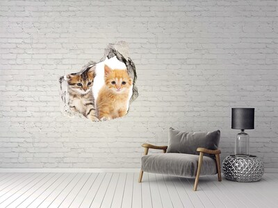 Díra 3D fototapeta na stěnu Hnědá a červená kočka