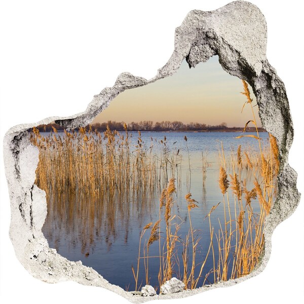 Samolepící nálepka beton Zátoka s rákosím